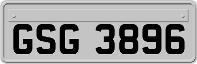 GSG3896
