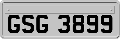 GSG3899