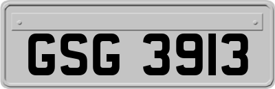 GSG3913