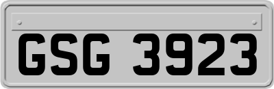 GSG3923