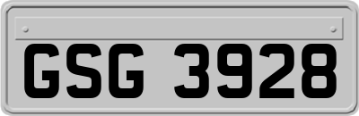 GSG3928