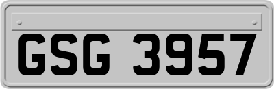 GSG3957