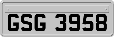 GSG3958