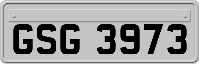 GSG3973