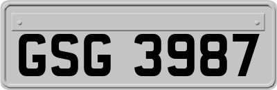 GSG3987