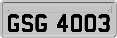 GSG4003