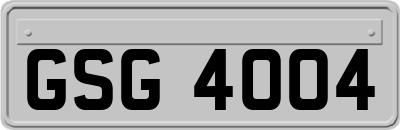 GSG4004