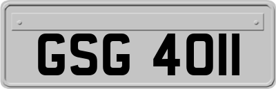 GSG4011