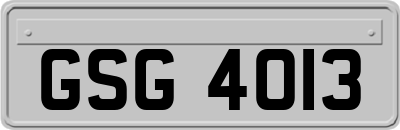 GSG4013