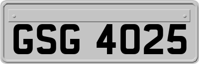GSG4025