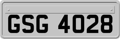 GSG4028