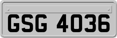 GSG4036