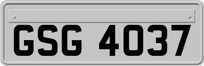 GSG4037