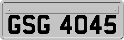 GSG4045