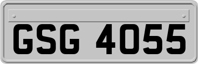 GSG4055