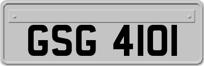 GSG4101