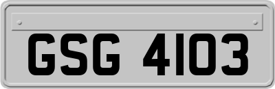 GSG4103