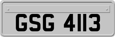 GSG4113