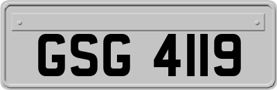 GSG4119
