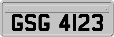 GSG4123