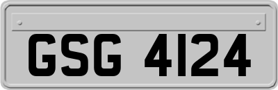 GSG4124