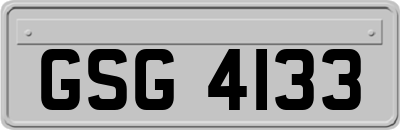 GSG4133
