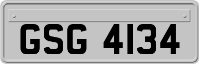 GSG4134