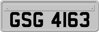 GSG4163