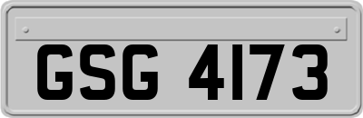 GSG4173
