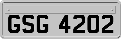 GSG4202
