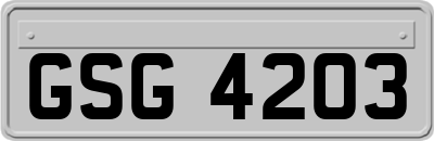 GSG4203
