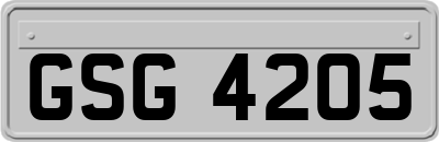 GSG4205