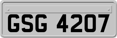 GSG4207