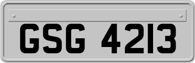 GSG4213