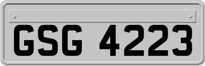 GSG4223