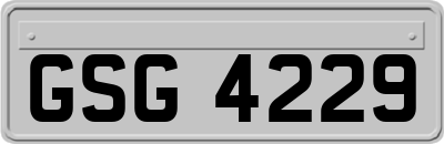GSG4229