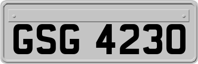 GSG4230