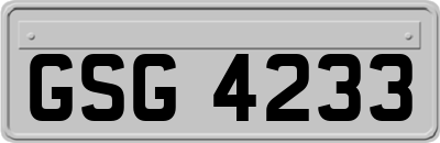 GSG4233