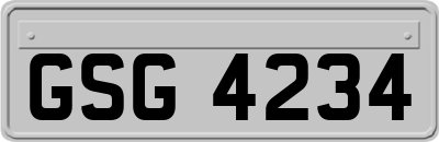 GSG4234