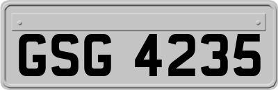 GSG4235