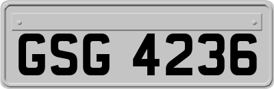 GSG4236