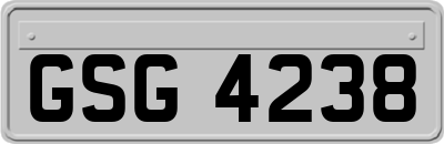 GSG4238