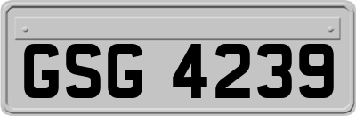 GSG4239