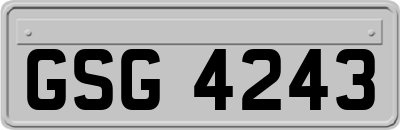 GSG4243