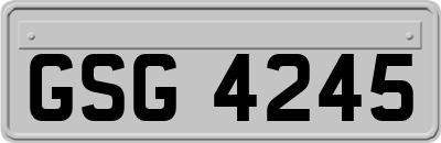 GSG4245