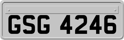 GSG4246