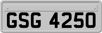 GSG4250