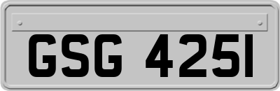 GSG4251