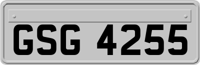 GSG4255