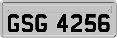 GSG4256